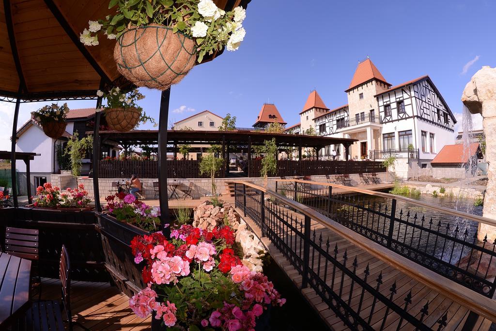 Hotel Castel Royal Mosnita Noua Экстерьер фото