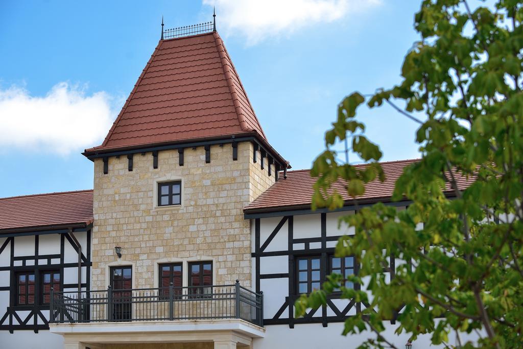 Hotel Castel Royal Mosnita Noua Экстерьер фото