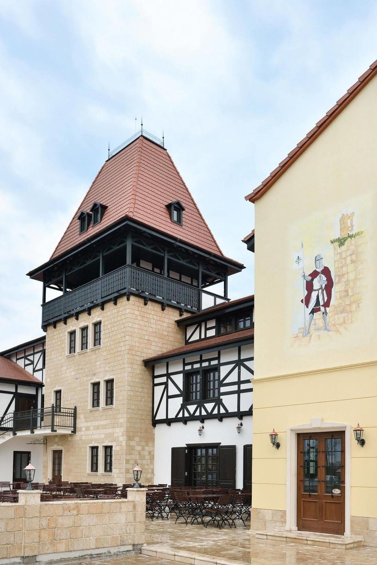 Hotel Castel Royal Mosnita Noua Экстерьер фото