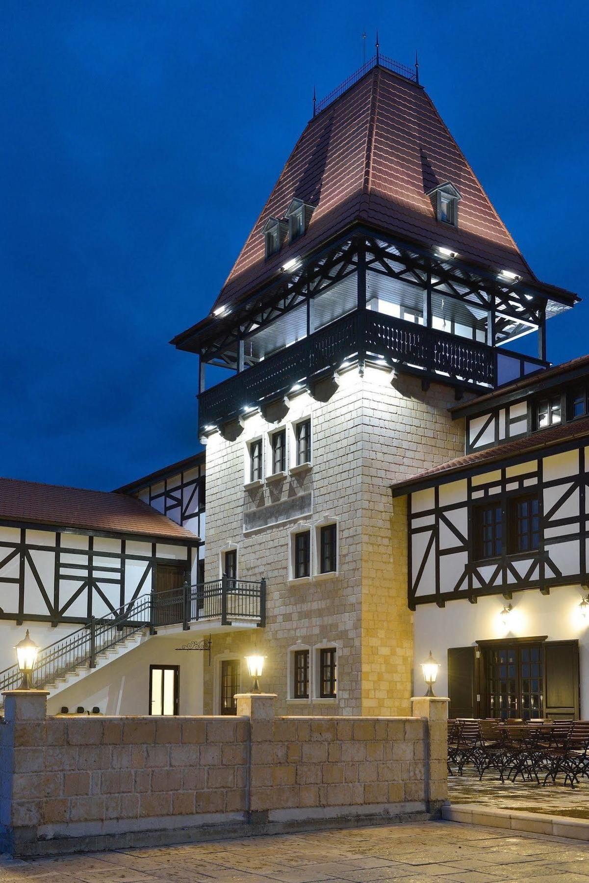 Hotel Castel Royal Mosnita Noua Экстерьер фото